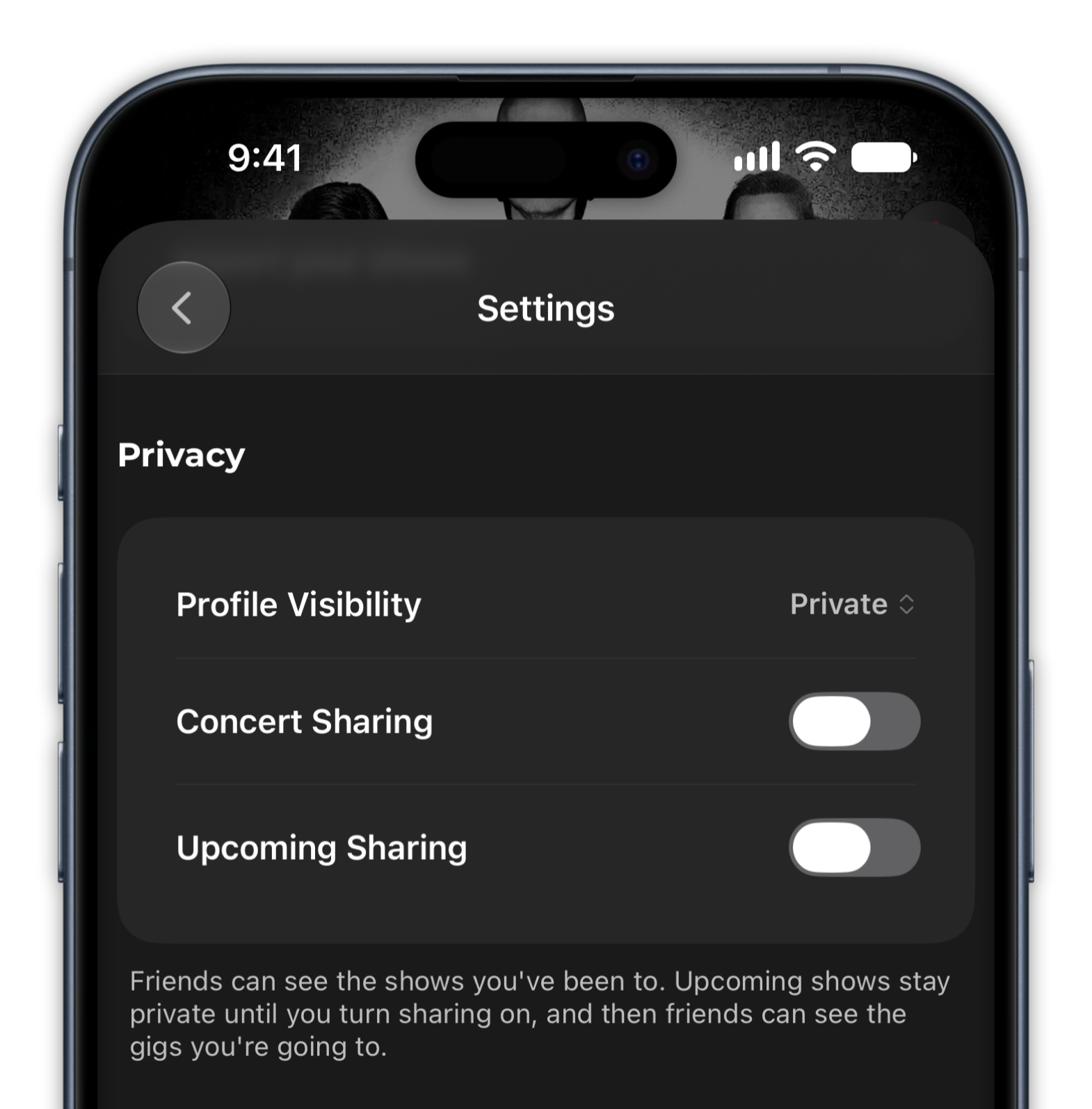 Gigz Privacy Screen